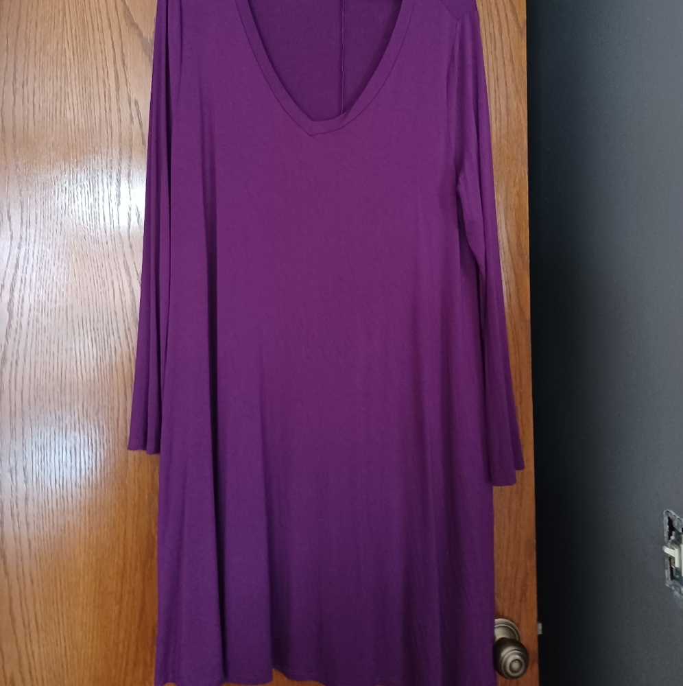 Knee length, long sleeve dress with pockeys